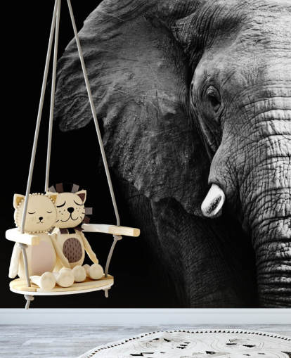 Black and White Half Elephant Portrait Wall Mural 