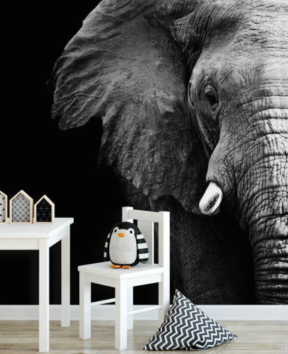 Black and White Half Elephant Portrait Wall Mural 