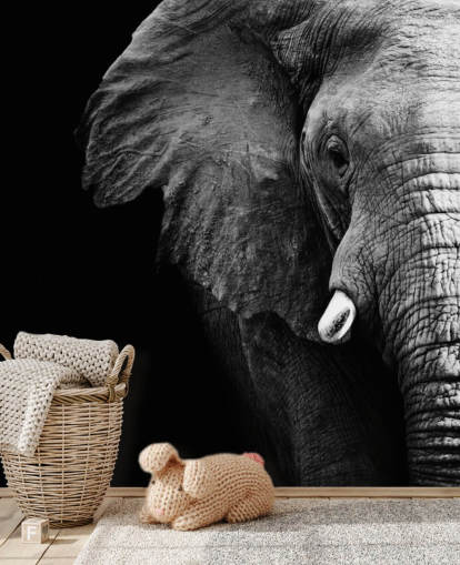 Black and White Half Elephant Portrait Wall Mural Black and White Half Elephant Portrait Wall Mural
