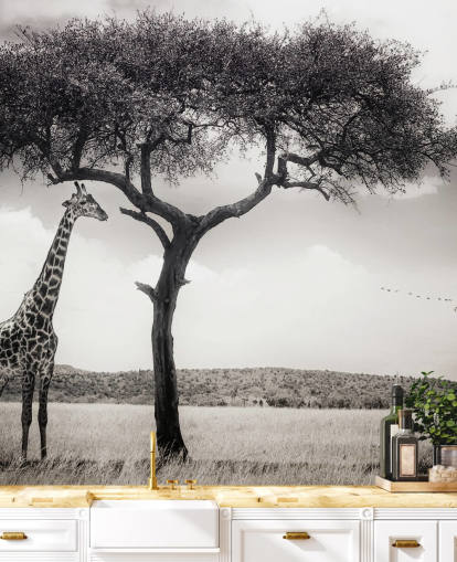 Black and White Giraffe Landscape Wallpaper
