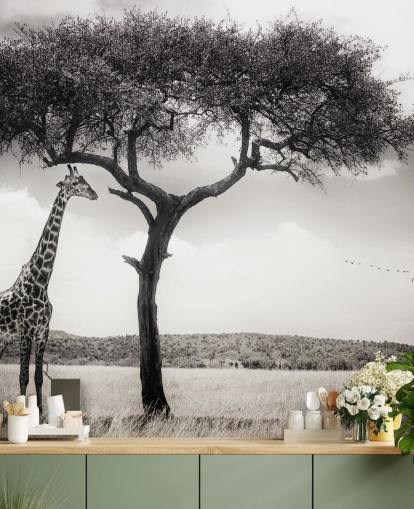 Black and White Giraffe Landscape Wallpaper