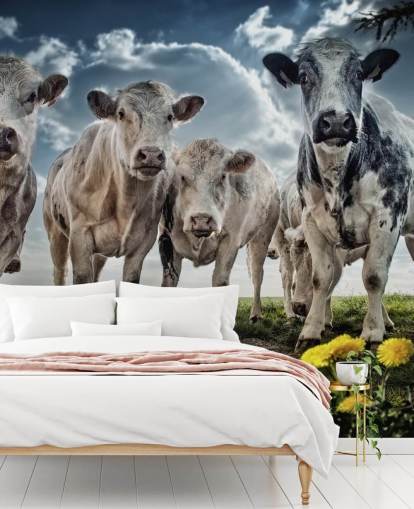 Papier Peint Cow Papier Peint Cow