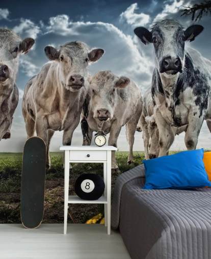Cow Gang Bakgrunn Cow Gang Bakgrunn