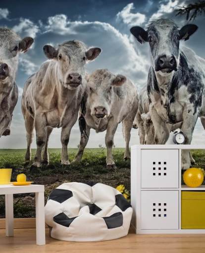 Cow gänget Bak Cow gänget Bak