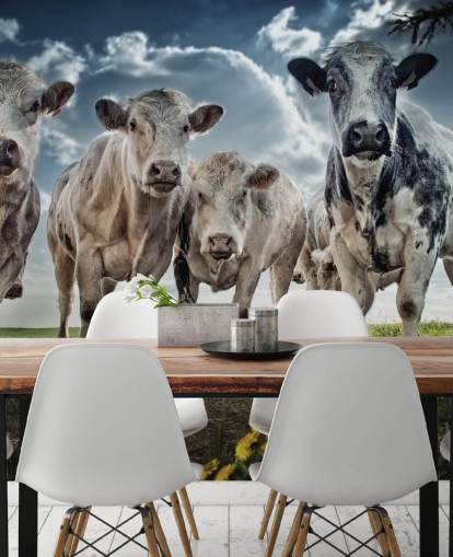 Cow gänget Bak Cow gänget Bak