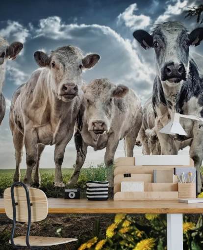 Fondo de pantalla de banda Fondo de pantalla de banda