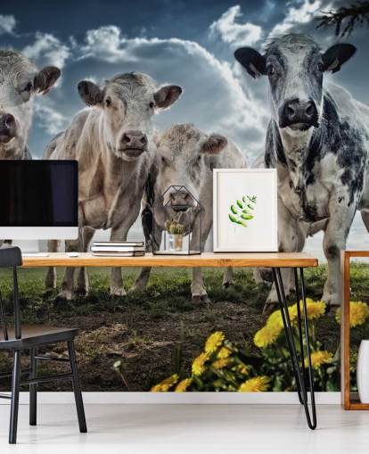 Papier Peint Cow