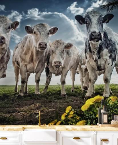 Fondo de pantalla de banda