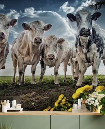 Papel de parede Cow