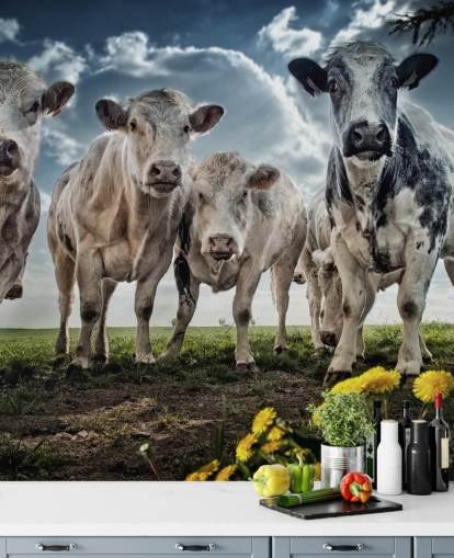 Cow gänget Bak Cow gänget Bak