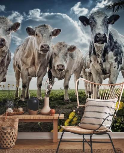 Cow Gang Bakgrunn Cow Gang Bakgrunn