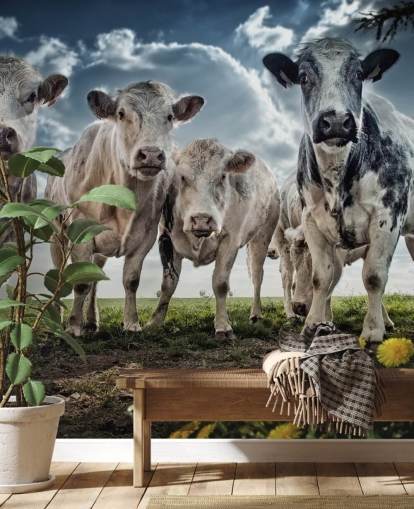 Cow gänget Bak Cow gänget Bak