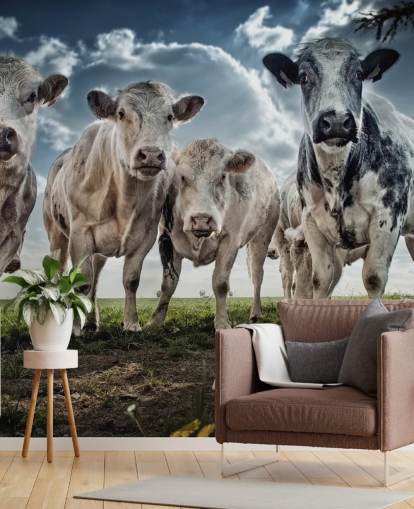 Fondo de pantalla de banda