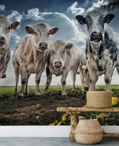 Cow Gang Wallpaper Cow Gang Wallpaper