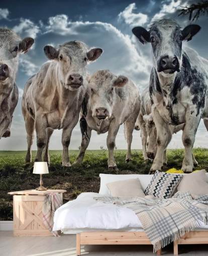 Cow Gang Wallpaper Cow Gang Wallpaper