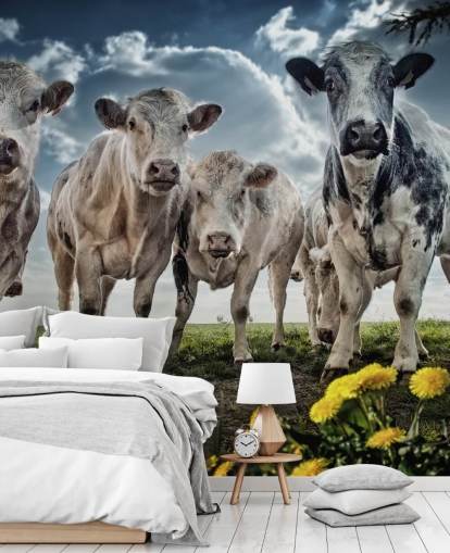Papel de parede Cow