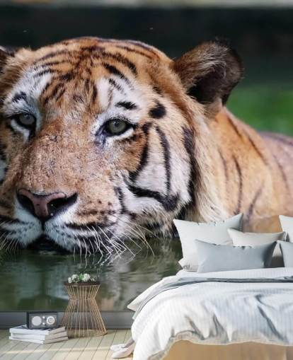 Nuoto Tiger Close Up Carta da parati