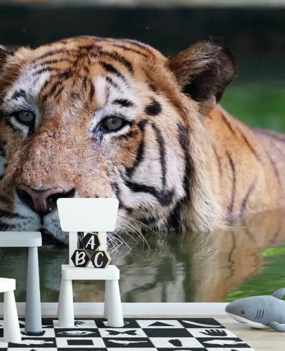 Swimming Tiger Close Up Wallpaper