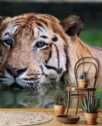 Schwimmen Tiger Nahaufnahme Tapete Schwimmen Tiger Nahaufnahme Tapete