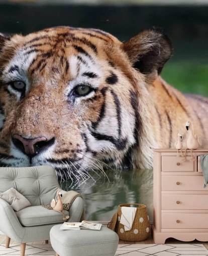 Schwimmen Tiger Nahaufnahme Tapete