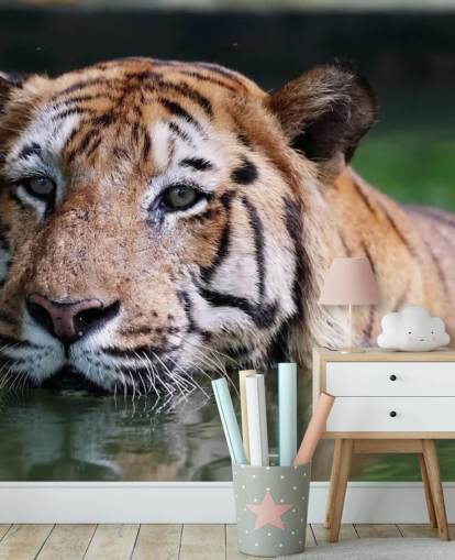 Uinti Tiger Lähikuva Taustakuva