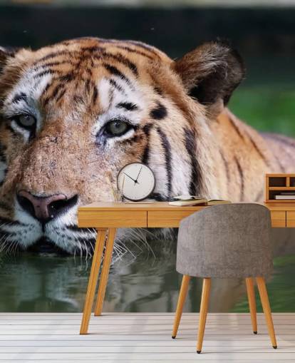 Swimming Tiger Close Up Wallpaper