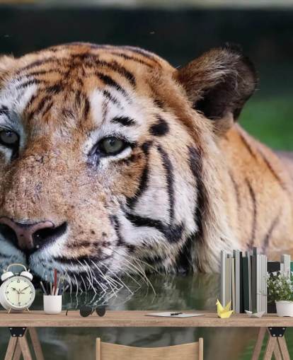 Swimming Tiger Close Up Wallpaper