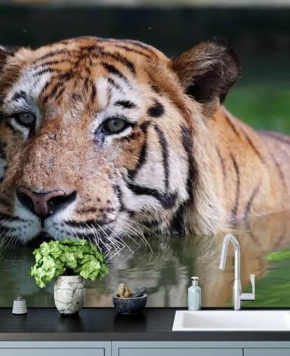 Swimming Tiger Close Up Wallpaper