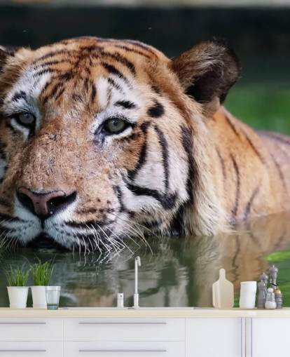 Swimming Tiger Close Up Wallpaper