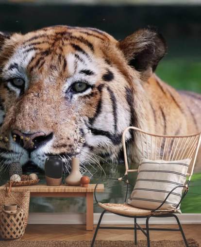 Swimming Tiger Close Up Wallpaper