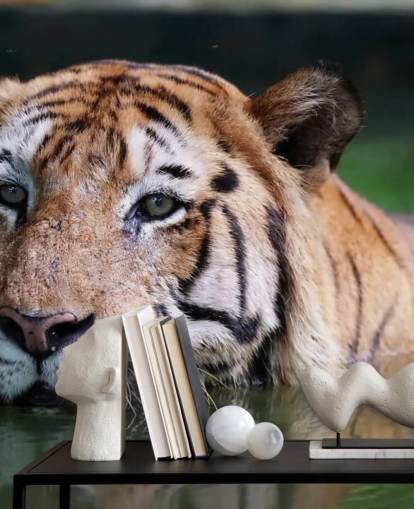 Fondo de pantalla de cerca de tigres