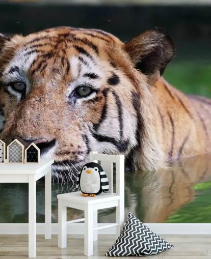 Swimming Tiger Close Up Wallpaper Swimming Tiger Close Up Wallpaper