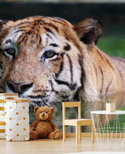 Schwimmen Tiger Nahaufnahme Tapete