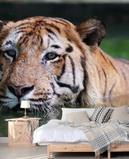 Swimming Tiger Close Up Wallpaper