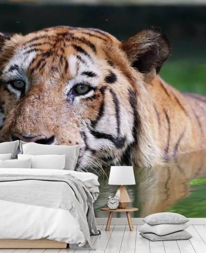 Swimming Tiger Close Up Wallpaper Swimming Tiger Close Up Wallpaper