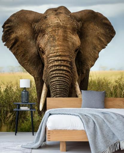 Decorazione murale con testa di elefante