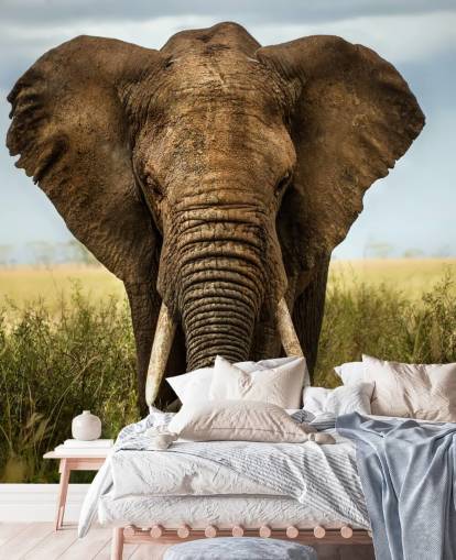 Elephant Head On Wall Mural