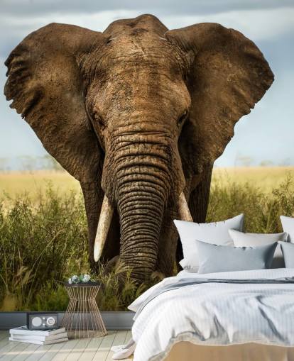 Elephant Head On Wall Mural