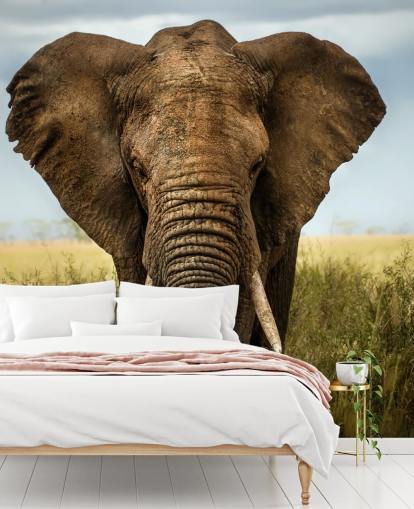 Elephant Head On Wall Mural