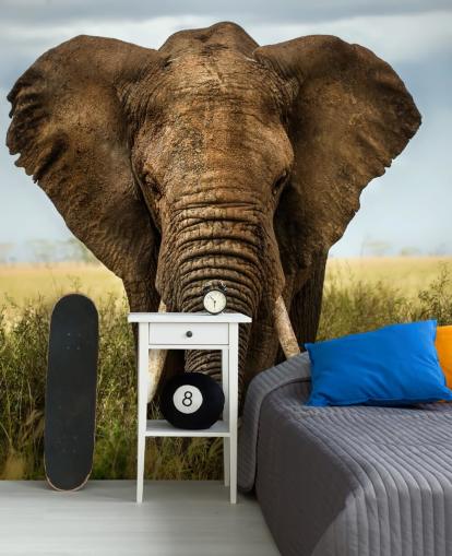 Elephant Head On Wall Mural