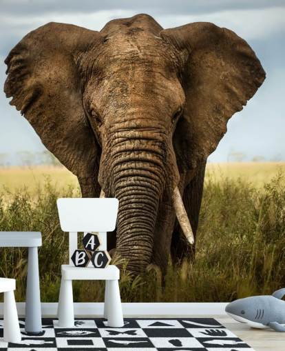 Elephant Head On Wall Mural