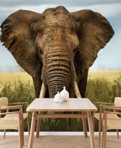 Elephant Head On Wall Mural Elephant Head On Wall Mural