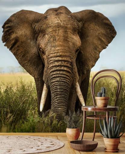 Mural de pared Cabeza de elefante