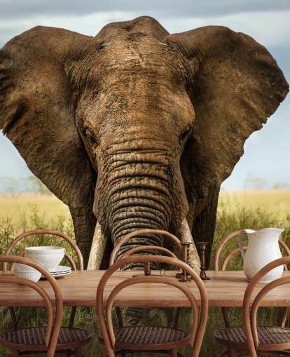 Olifant hoofd op muurschildering Olifant hoofd op muurschildering
