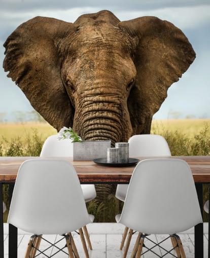 Olifant hoofd op muurschildering Olifant hoofd op muurschildering