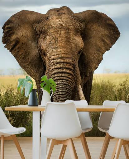 Olifant hoofd op muurschildering