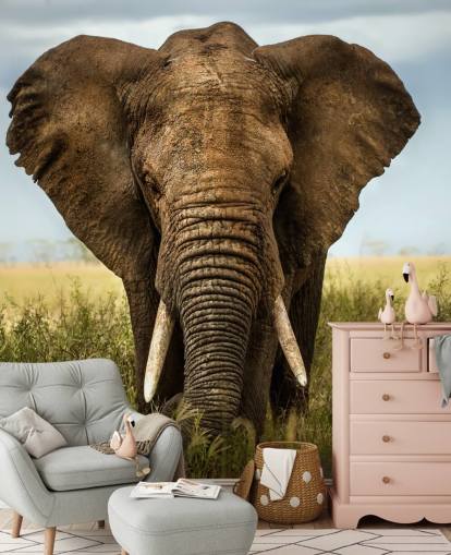Papier Peint Fresque Tête d'éléphant