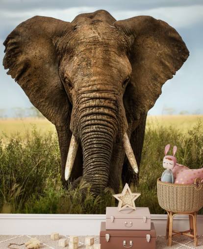 Papier Peint Fresque Tête d'éléphant