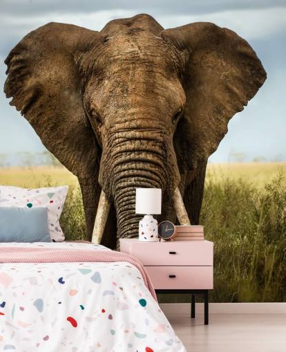 Olifant hoofd op muurschildering Olifant hoofd op muurschildering