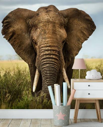 Elephant Head On Wall Mural